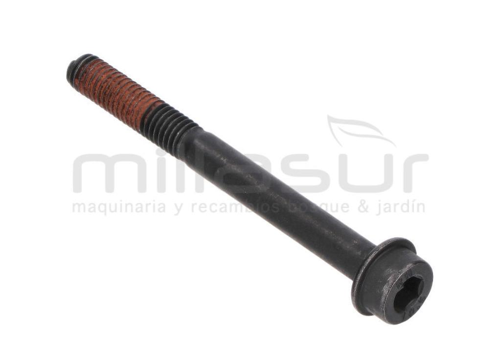 TORNILLO SUJECCION CARBURADOR M5X50 D536 - foto 1