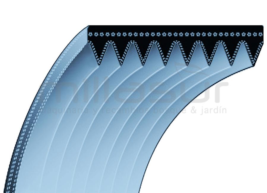 CORREA 11 x 805 - 808PJ5 / 318PJ5 MAKITA EK7651 H, EK7651 HD